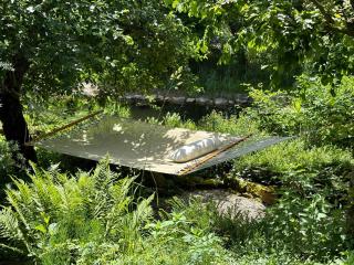 Das versteckte Nest - 1