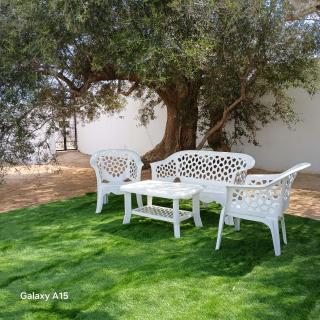 Dar Elkhir Djerba - 7