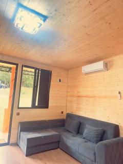 Pine House Borjomi , Mountain View - 2