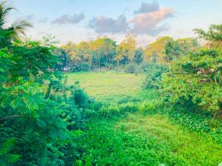Tom's Place - 4
