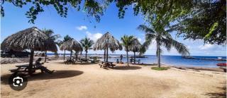 Jimardey cozy studio near mambo beach - 5