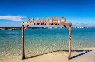 Jimardey cozy studio near mambo beach - 3
