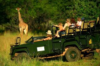 Magari Safari Lodge - 4