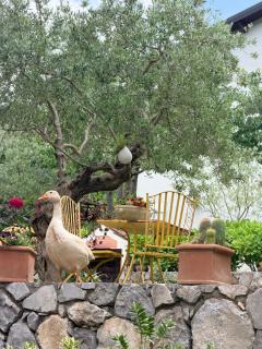La casa nel bosco - 5