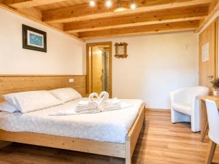 Chalet - Margherita - Sappada - 1
