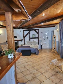 Chalet du Rhin, le coin de Mut en Alsace proche Europa Park - 8