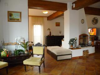 Pension Irina - Arefu - 4