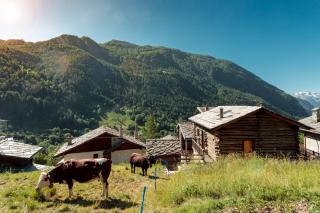 HelloCHALET Petit Reins - Alpine Lodge close to Ski Return - 3