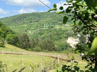 Le Caux - 9