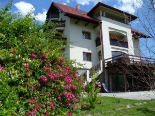 Pension Irina - Arefu - 7
