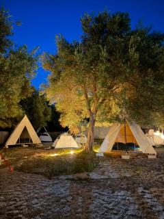 Borsh Olive Camping - 6