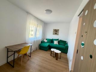 One bedroom apartment in Complexul Studentesc - 7