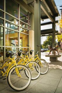 Staypineapple, Watertown Hotel, University District Seattle - Seattle - 7