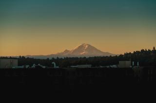 Staypineapple, Watertown Hotel, University District Seattle - 6