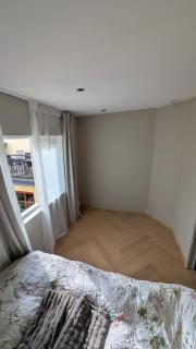 Penthouse in St Hanshaugen, Oslo - 1