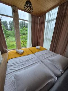Hillside House Overlooking Batumi - 6