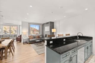Chamonix 17, Snowmass Ski-In/Ski-Out Condo w/Shared Pool/Hot Tub/Gym/WiFi - 2
