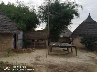 Les Bambous - 6