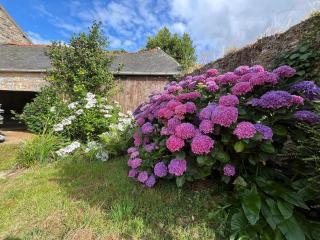 Le charme breton - Jardin & centre-bourg - 9