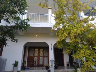 verdant sunrise haven - 8