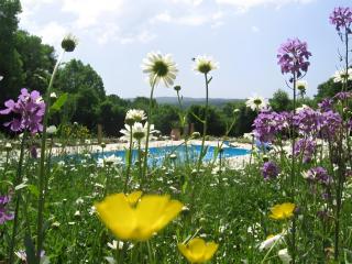 Villa Felinas - 8