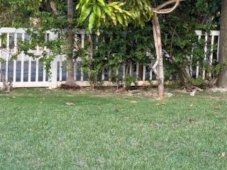 Coconut Breeze Guest House - 1