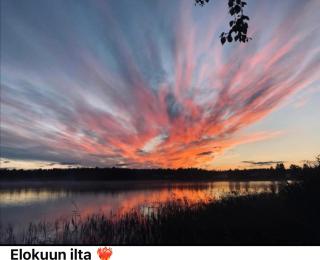 Ympärivuotinen järvenrantahuvila Pihtiputaalla - 5