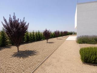 Bodega Díscolo - 1