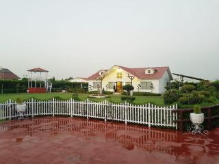 Samar farm - 5