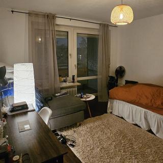 Cozy Furnished Balcony Room in 2-Person Shared Flat-Oktoberfest - 5