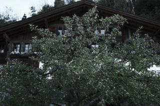 Haus Mannenberg - 8
