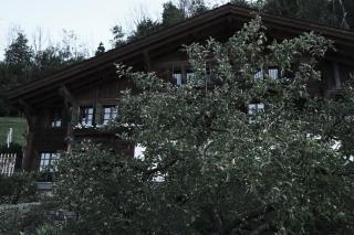 Haus Mannenberg - 7