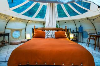 Stargaze and Swim at the Hideout - Luxury Glamping - 8