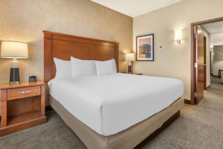 Drury Plaza Hotel Phoenix Tempe - 1