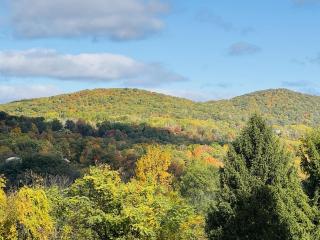 Great Gorge Village Updated Modern 6LT unit 4 - 4
