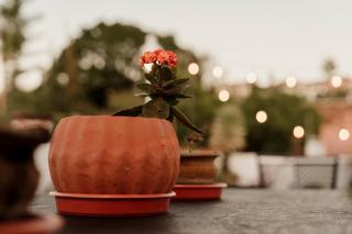 Best Location, Private Terrace, Valet Parking, AC - 2