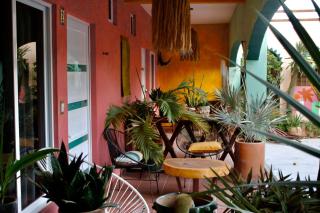 The Pineapple Mansion - 0