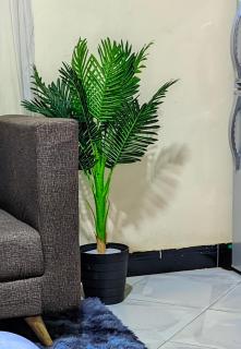 Akal Homes - 8