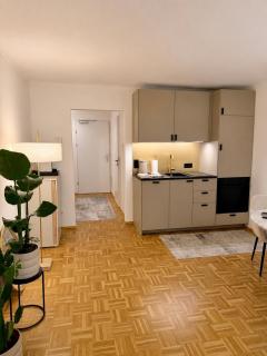 Stylish apartment, Balcony, Schlossberg view - 8