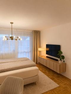 Stylish apartment, Balcony, Schlossberg view - 5