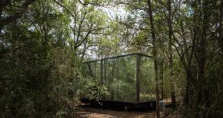 The Reflections at Dove Hollow - 1