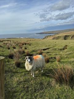 Gleann Lia at Slieve League - 1