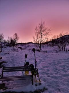 Discover the ultimate aurora escape with a cozy outdoor sauna and hot tub - 9