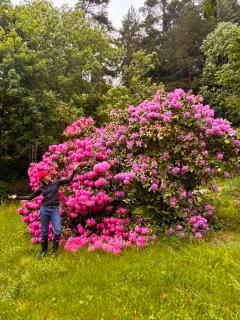 StayinDalsland - 3