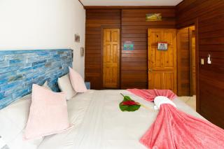 The Bamboo Studio at Bocas Town - 6