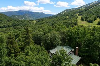 7PR Austrian Inspired Chalet Across from Historic Mittersill Resort - 9