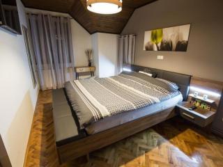 Belajec Wine & Nature Retreat - Two Bedroom Villa with the Pool - 7