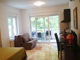 Apartments Despot Zaostrog RY - 2