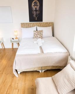 Comfortable 7BR Apartment with Garden Access - 4