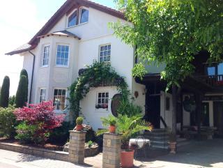 Pension zur Weinlaube - Bornheim - 9
